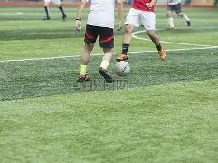 马伊琍大力,赞扬,岁女儿文爱,大发彩票官网,大发彩票品牌,大发彩票精彩