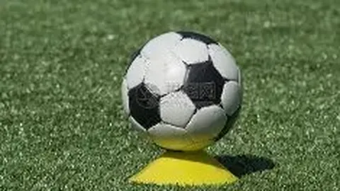 大发彩票 产品 111517 t17