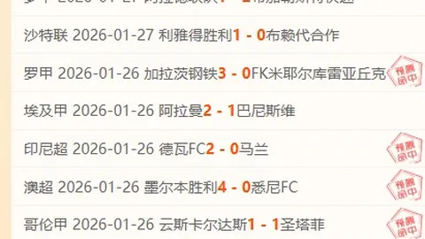 郭振明谈国内篮球现状：自产自销，孤立无援，国际接轨不足