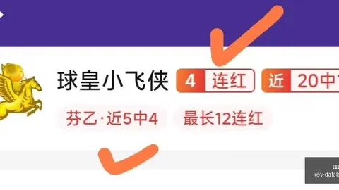大发彩票 145607